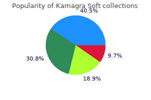 purchase kamagra soft with a visa